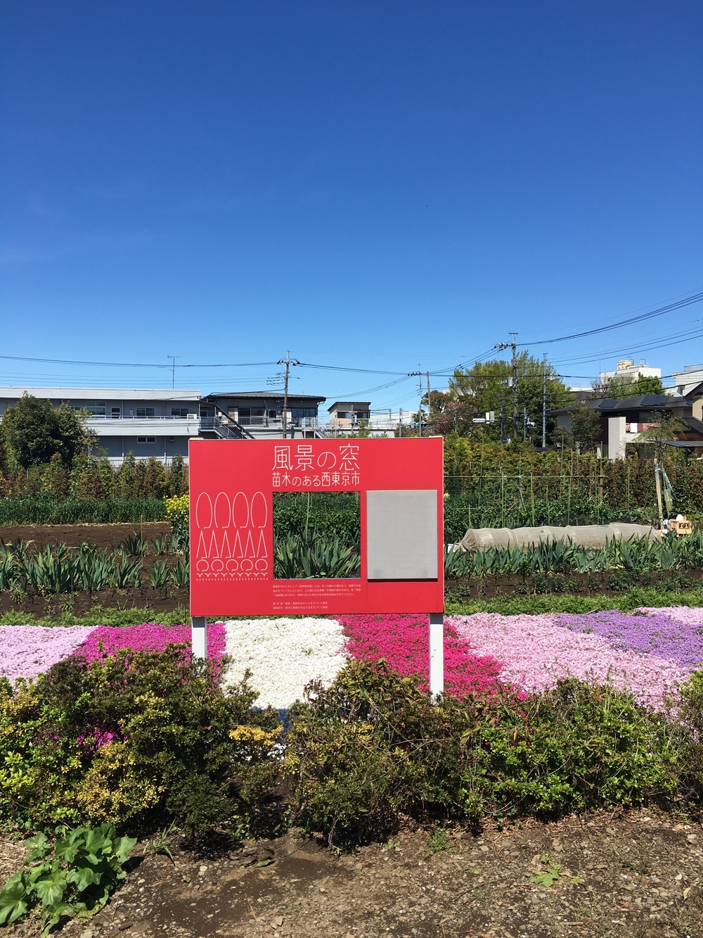 緑溢れる直線コース　多摩湖自転車歩行者道往復ほぼハーフの写真10