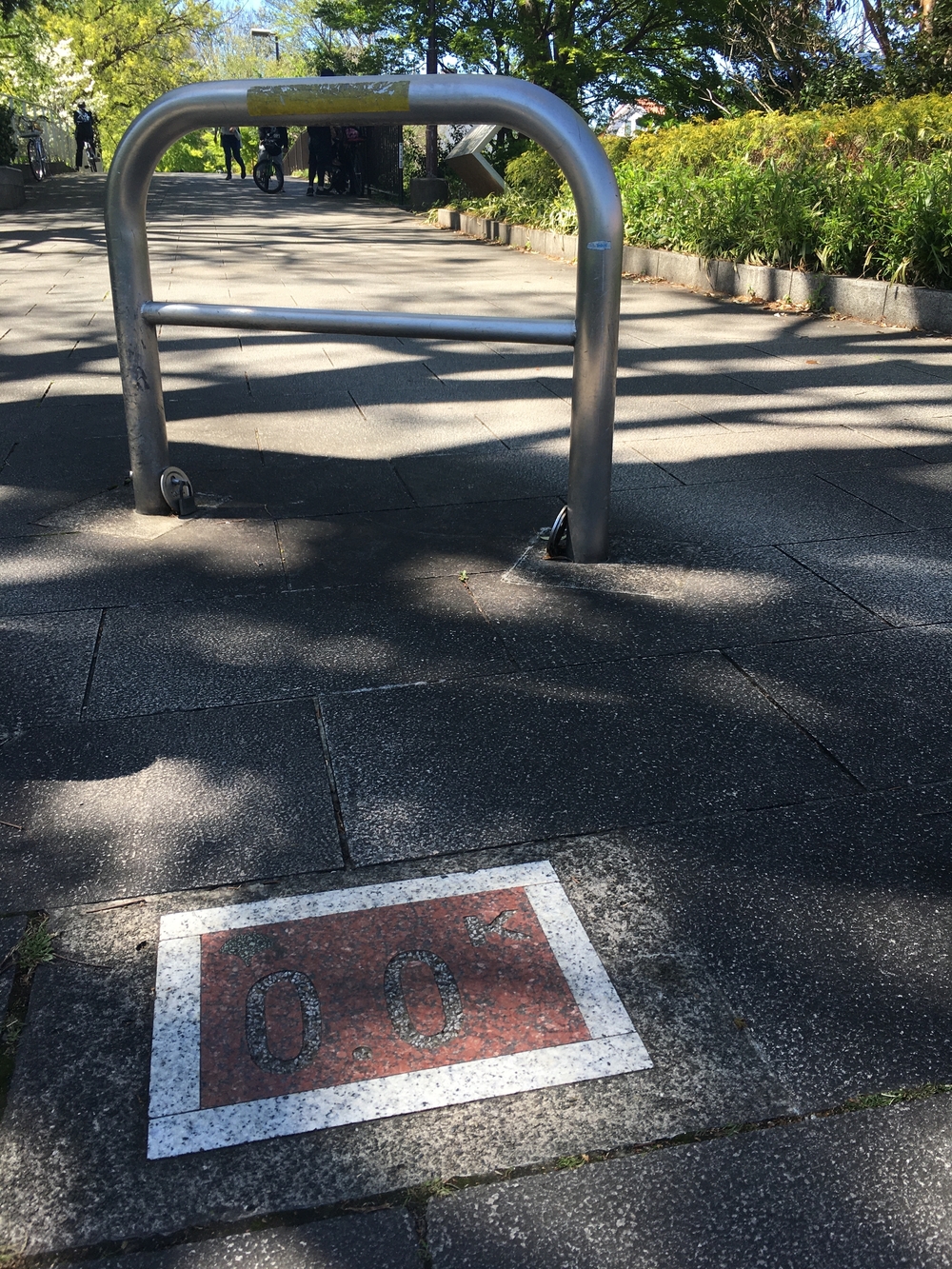 緑溢れる直線コース　多摩湖自転車歩行者道往復ほぼハーフの写真12