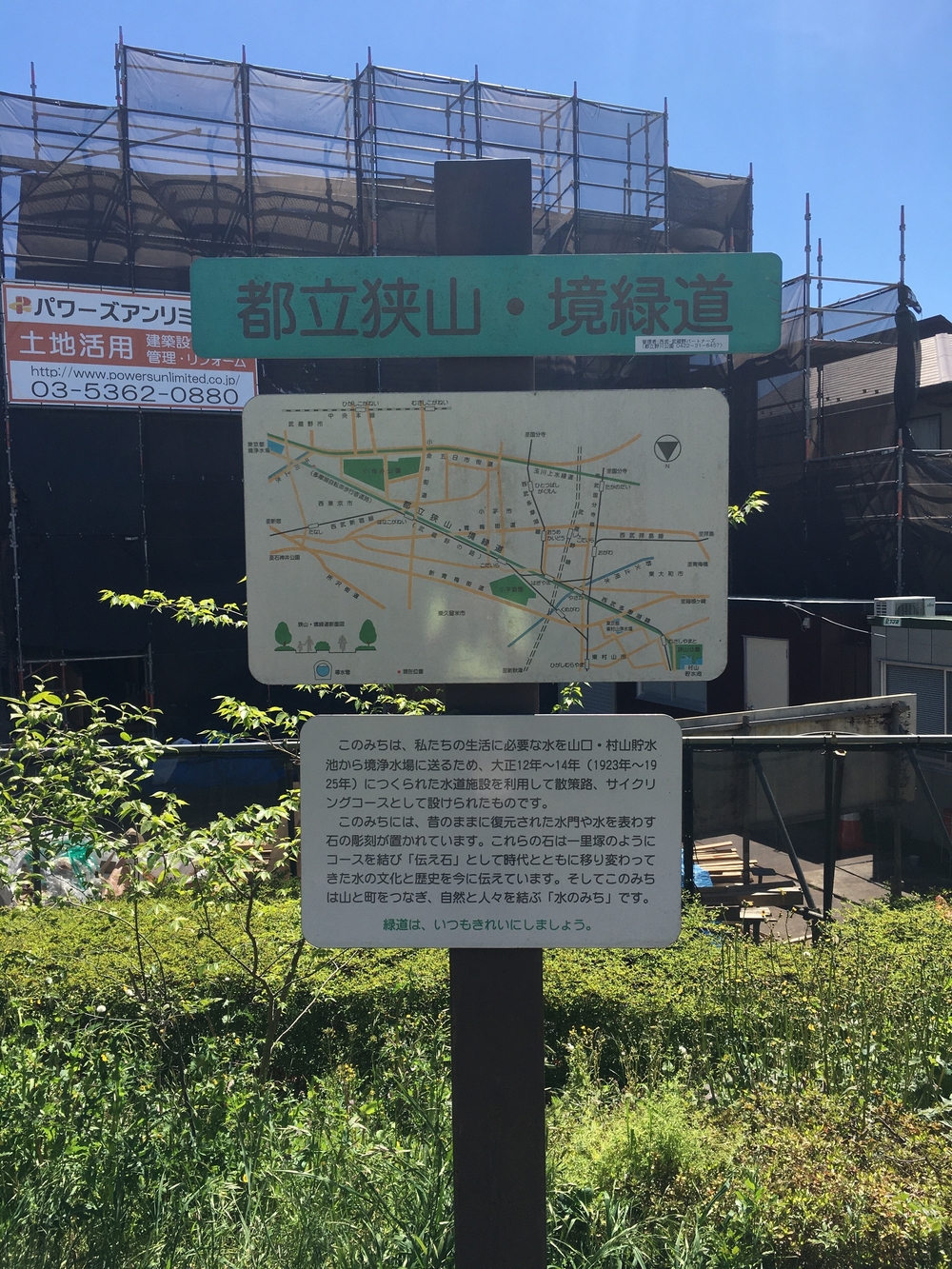 緑溢れる直線コース　多摩湖自転車歩行者道往復ほぼハーフの写真13