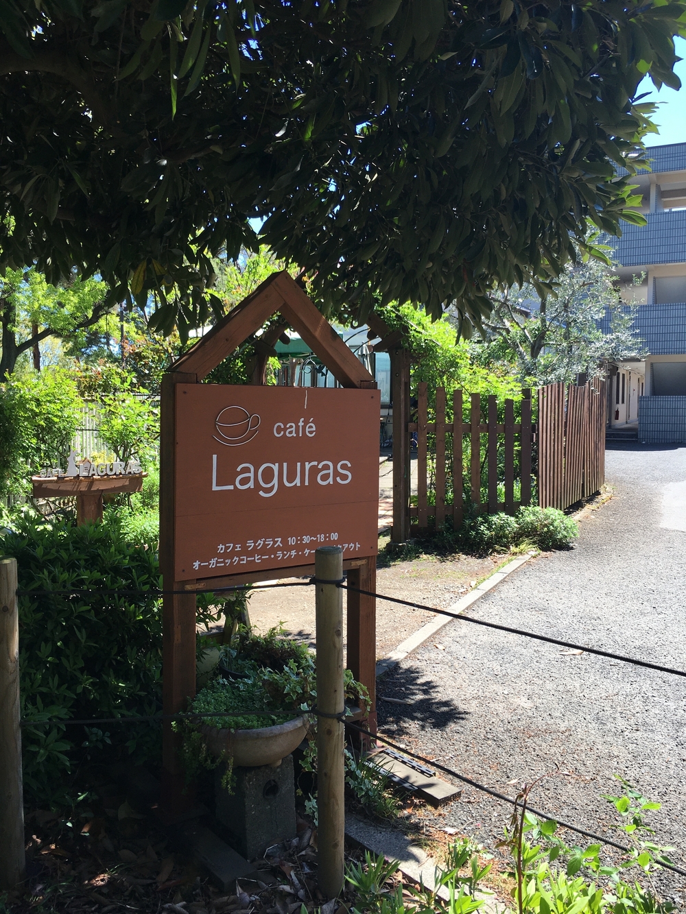 緑溢れる直線コース　多摩湖自転車歩行者道往復ほぼハーフの写真14