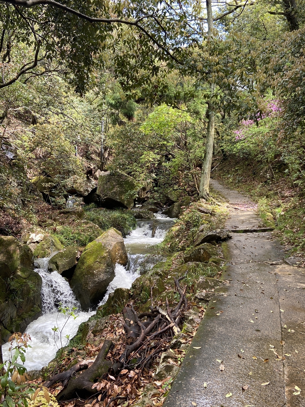 宝塚ロックガーデン～中山連山～JR福知山線跡の写真3