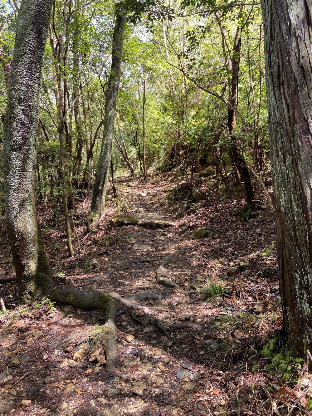 宝塚ロックガーデン～中山連山～JR福知山線跡の写真6