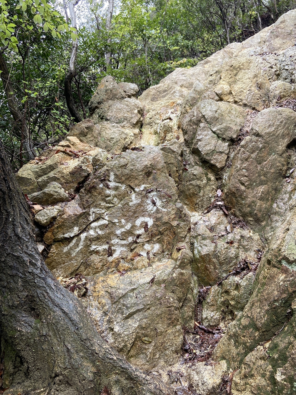 宝塚ロックガーデン～中山連山～JR福知山線跡の写真7