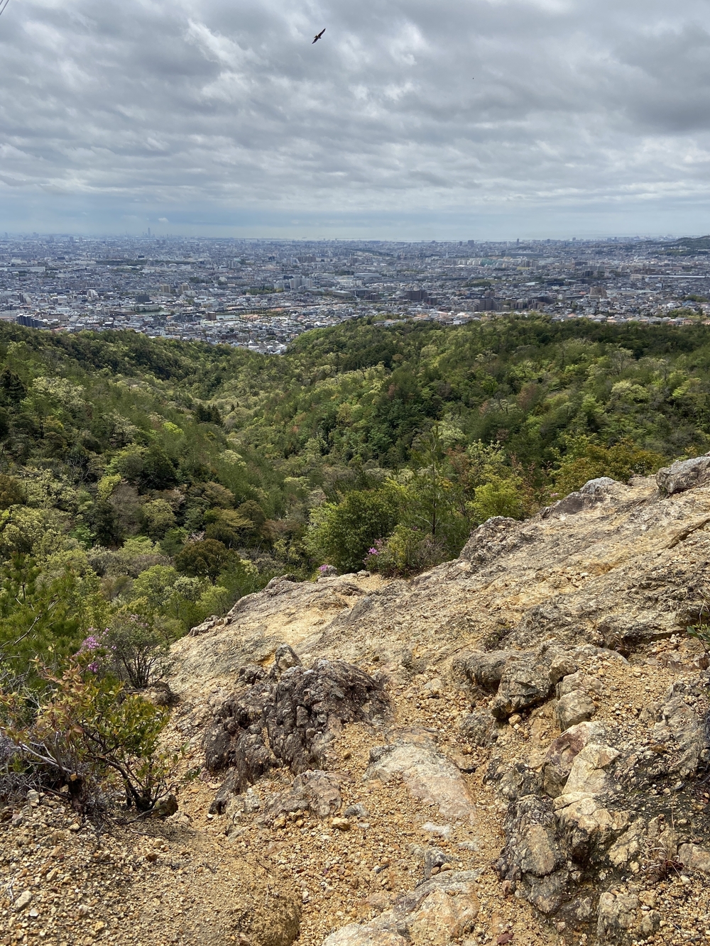 宝塚ロックガーデン～中山連山～JR福知山線跡の写真9