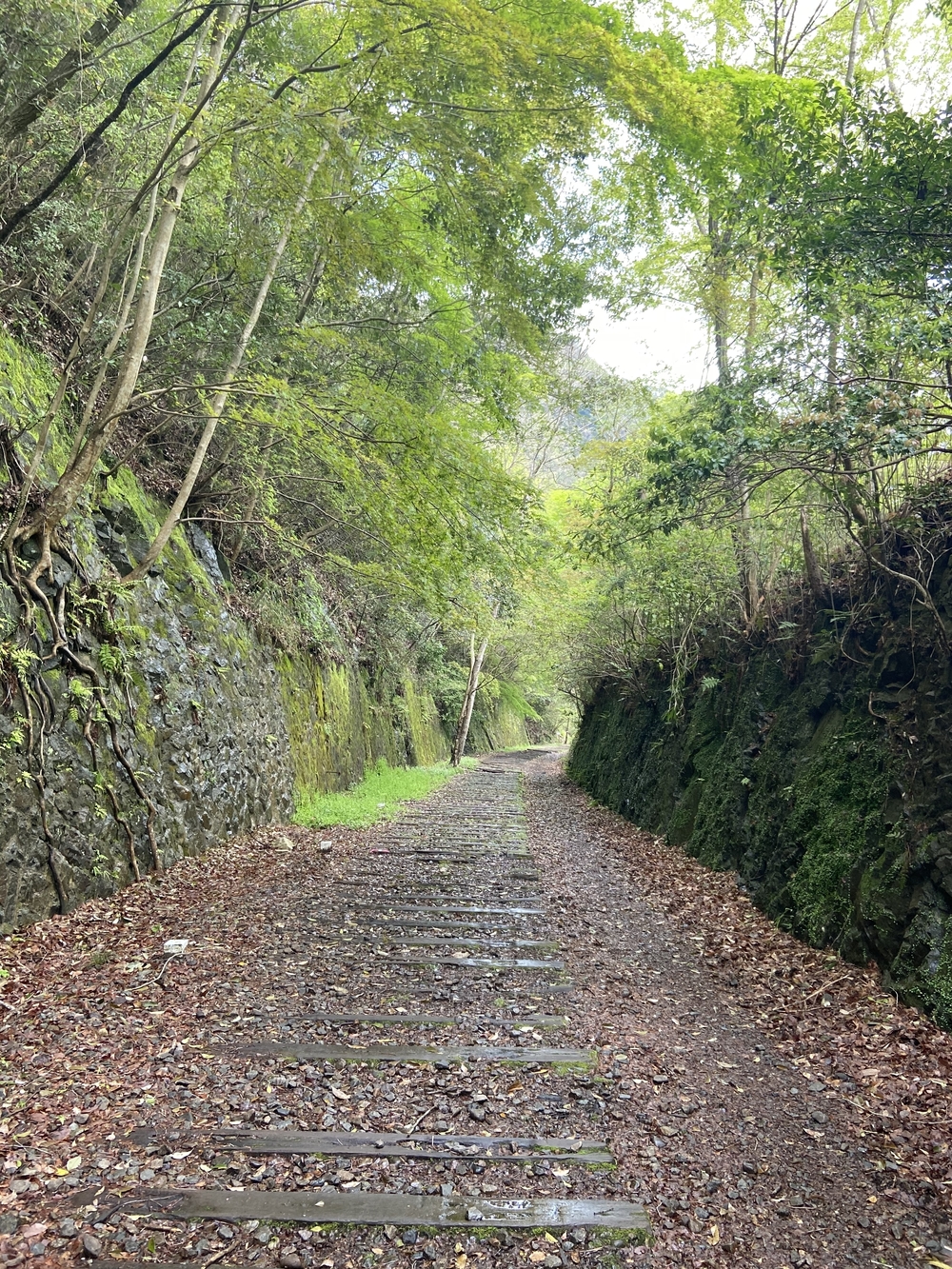 宝塚ロックガーデン～中山連山～JR福知山線跡の写真13