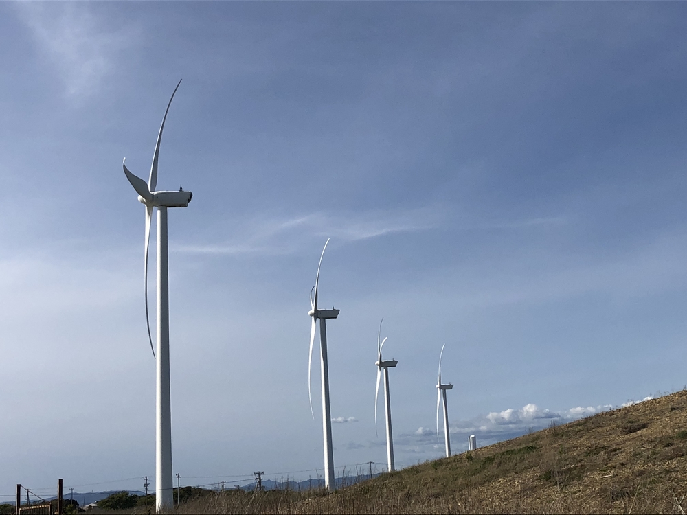 潮騒を聴きながら、風に吹かれての写真4