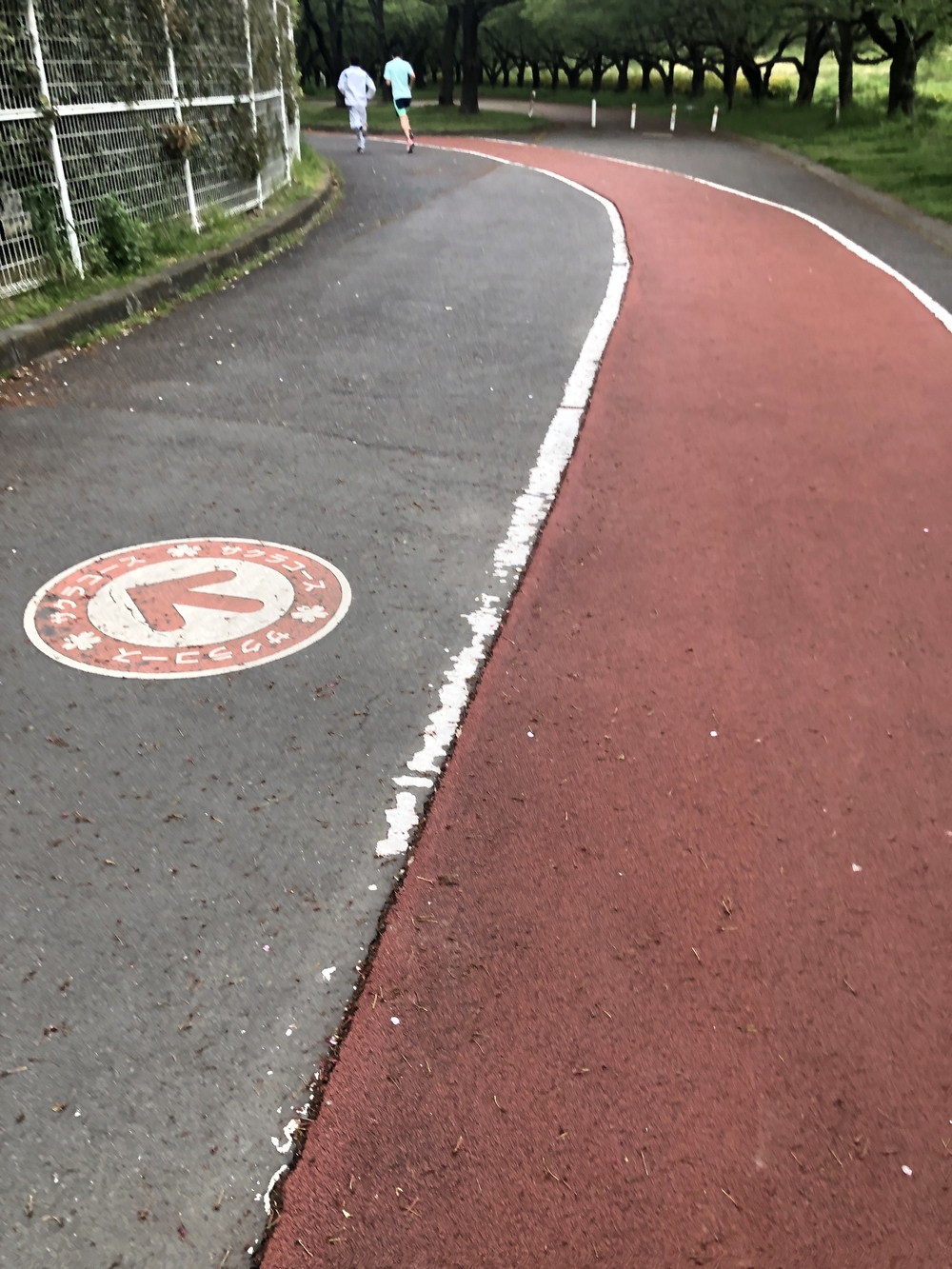 川越水上公園 周回コースの写真3