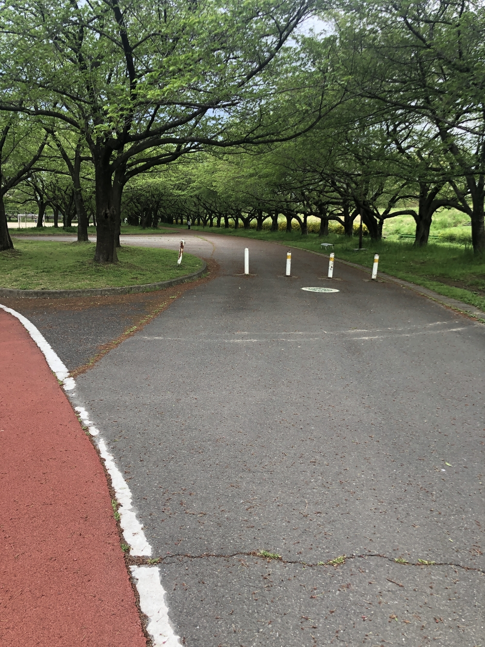 川越水上公園 周回コースの写真5