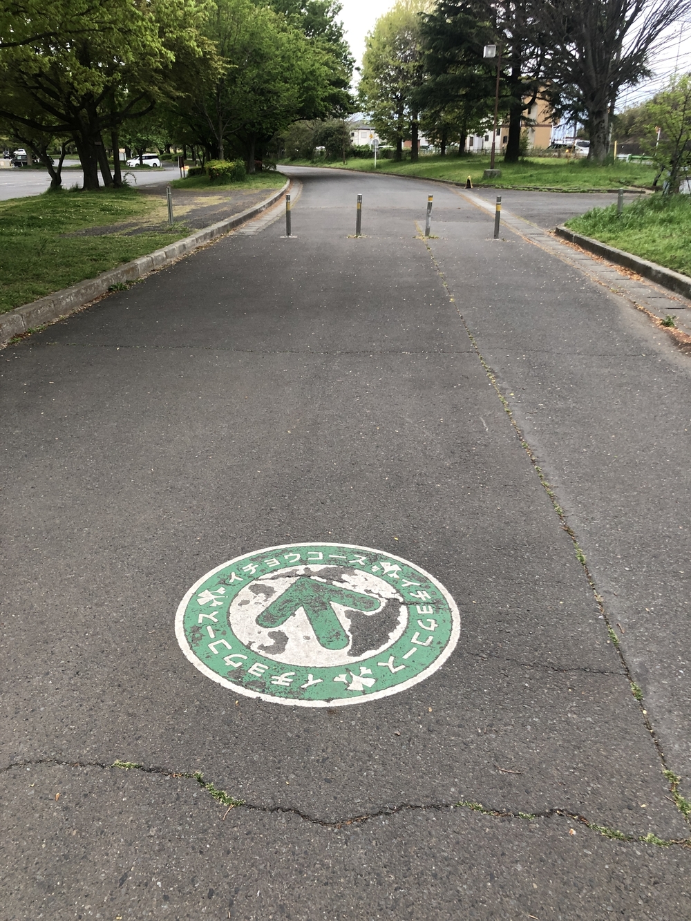 川越水上公園 周回コースの写真6