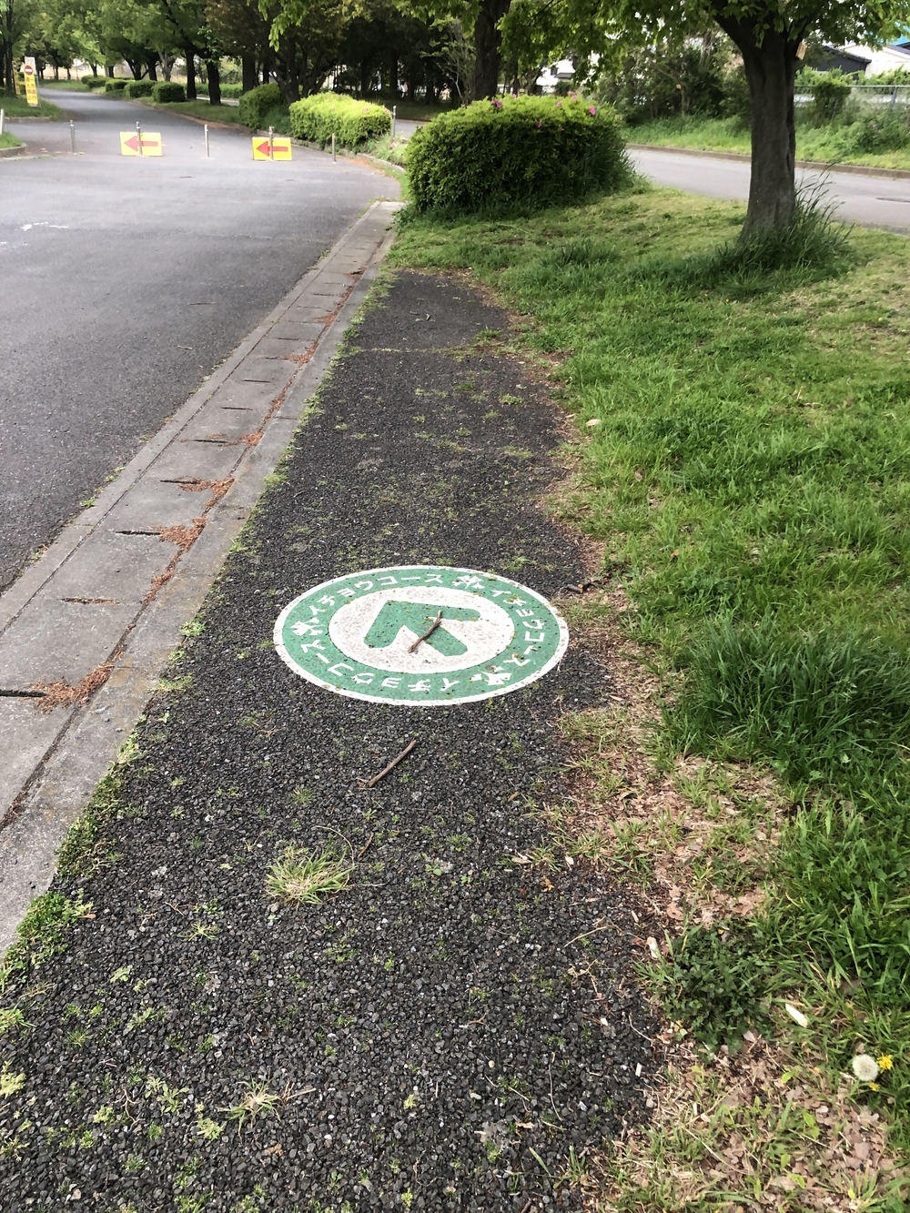 川越水上公園 周回コースの写真8