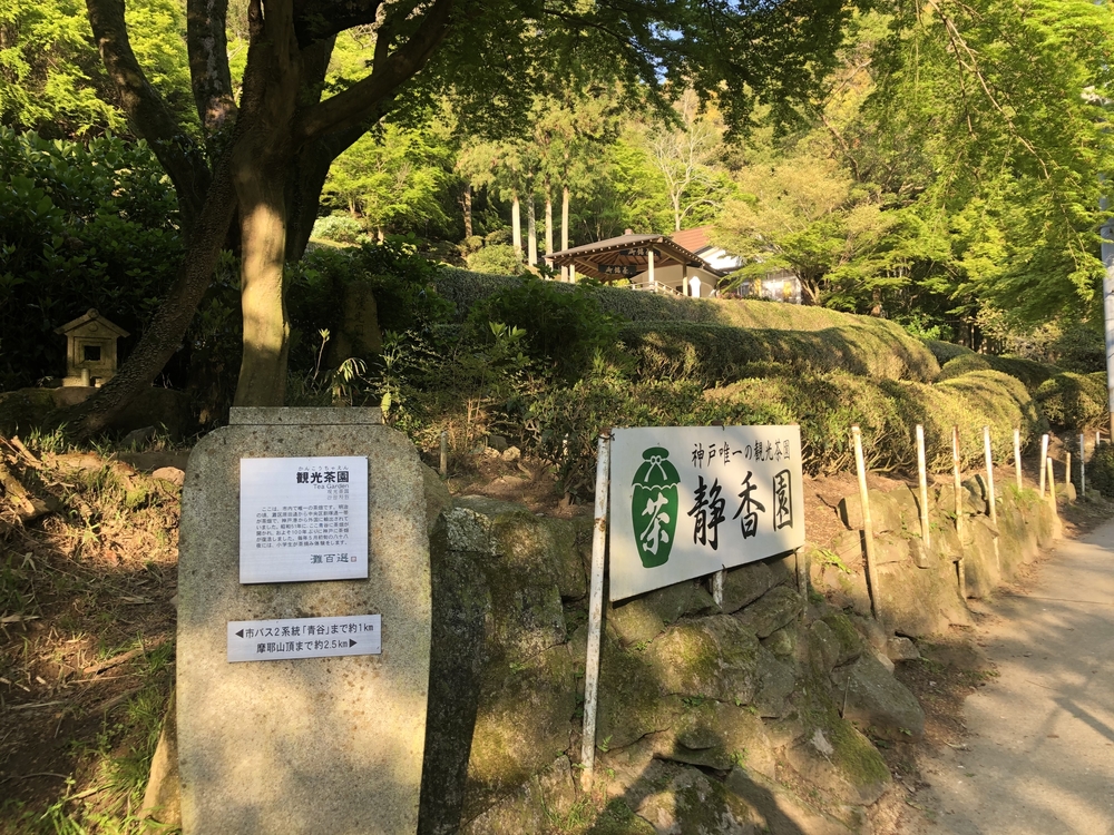 神戸市『なだ百選』青谷道をトレランシューズ無しで行ける場所まで。の写真6