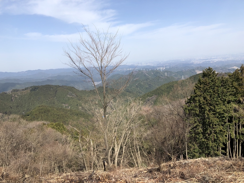 青梅奥多摩ラン　23キロの写真3