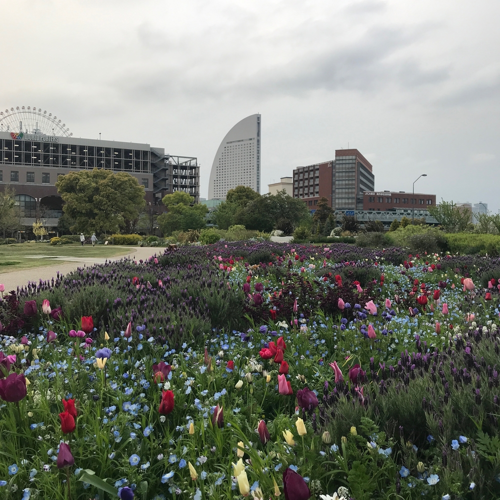 横浜みなとみらい/景観の良い海沿い10kmの写真6