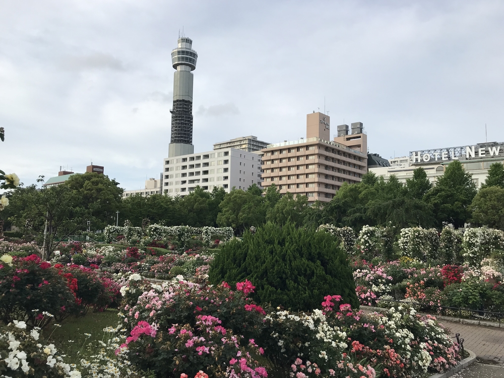 横浜みなとみらい/景観の良い海沿い10kmの写真11