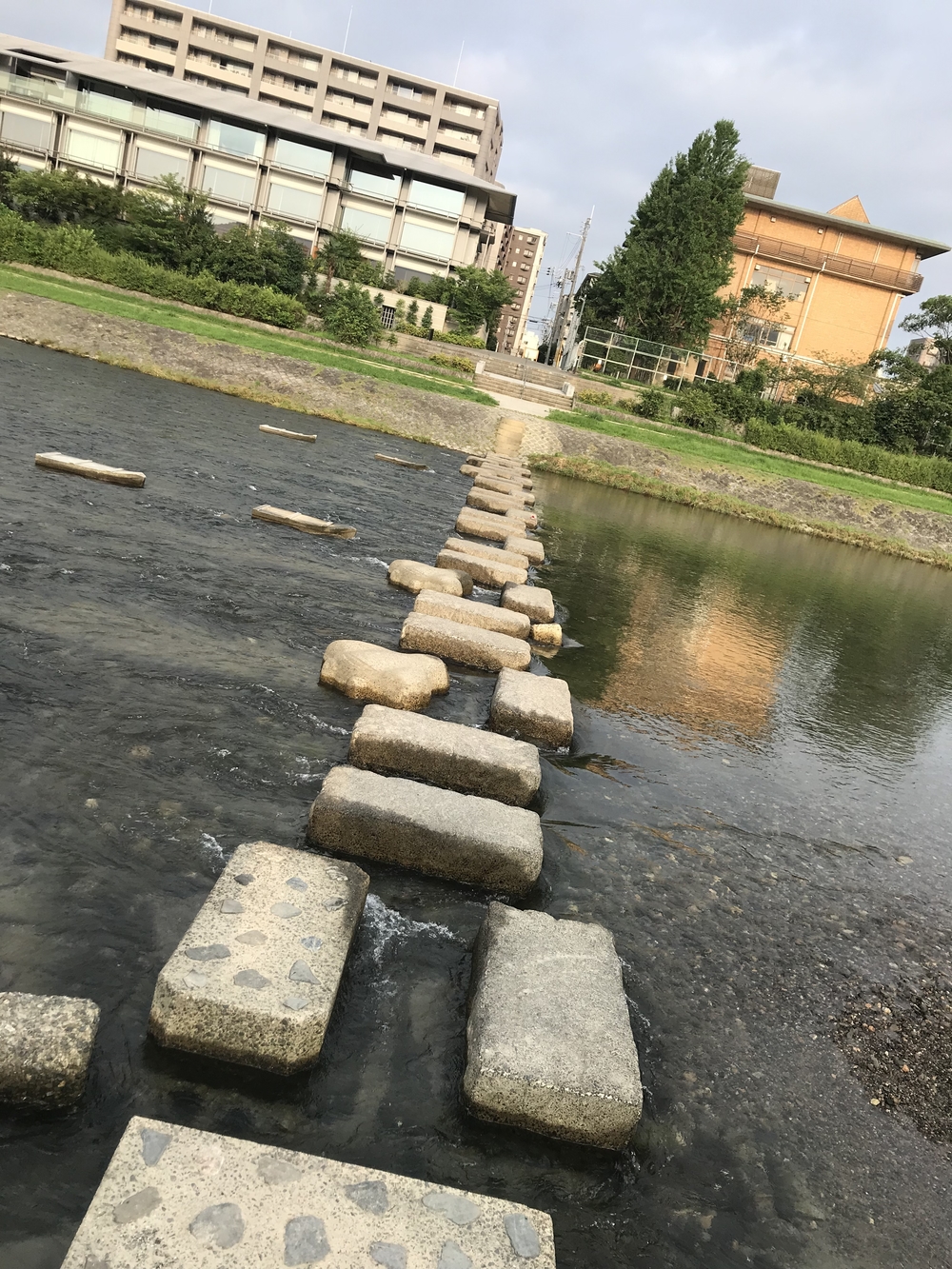 京都／鴨川の河川敷　ランニングコースの写真3