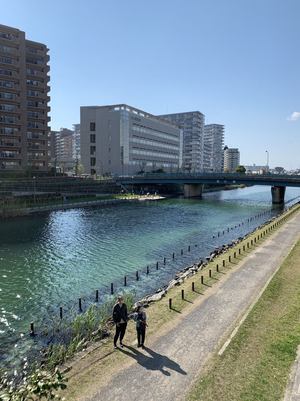 歌川広重と共にRUN　旧中川の写真4