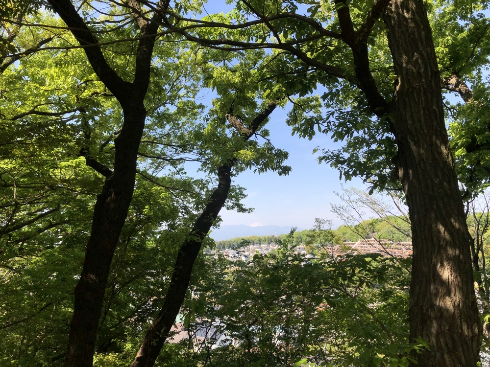 川崎の隠れた里山めぐりの写真3