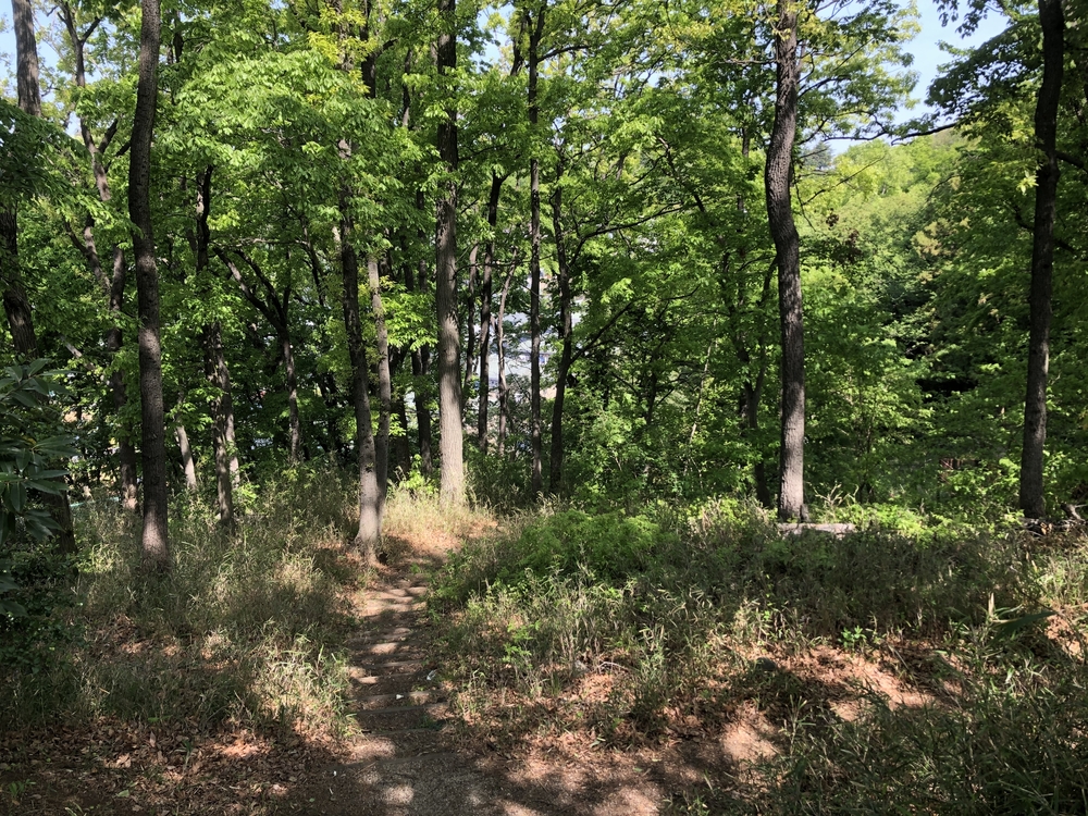 川崎の隠れた里山めぐりの写真4