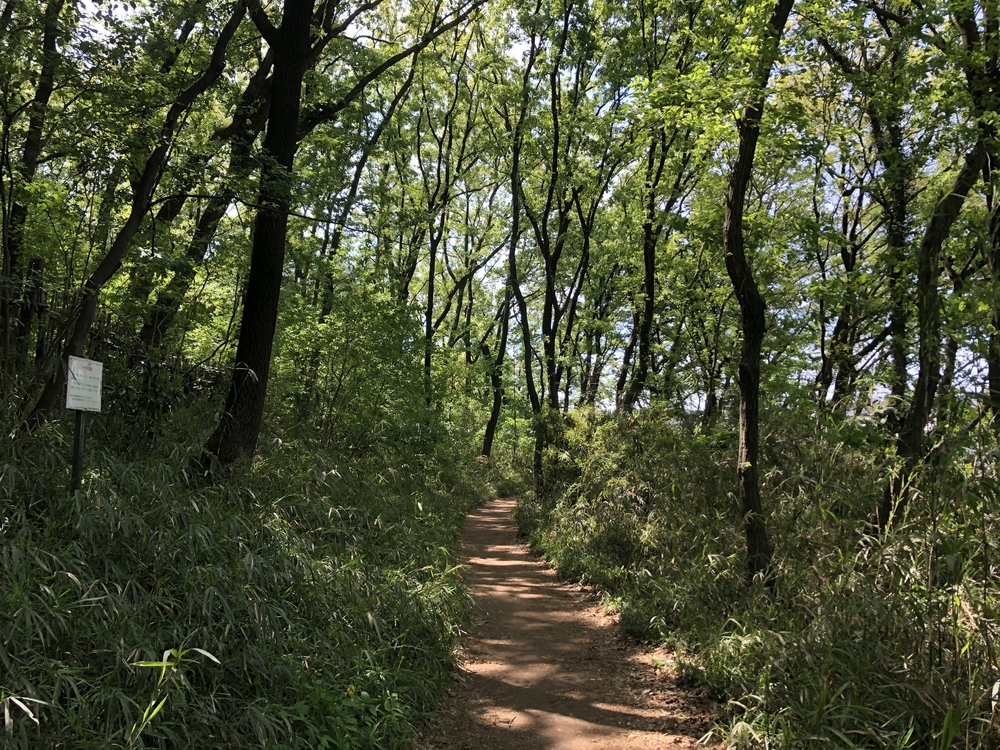 川崎の隠れた里山めぐりの写真6