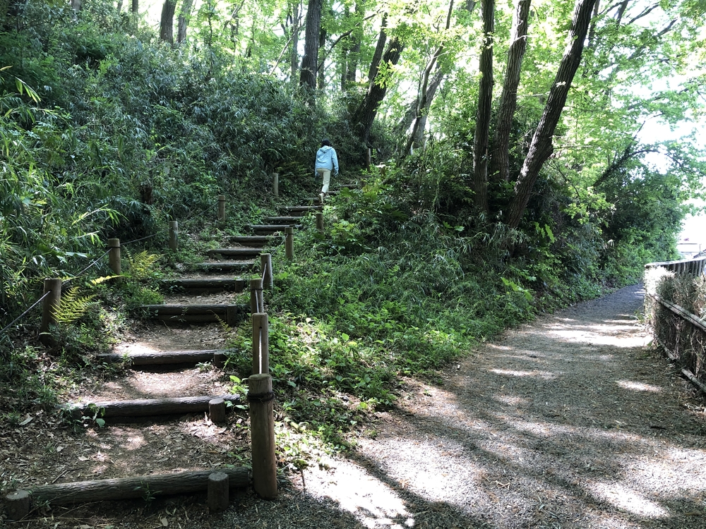 川崎の隠れた里山めぐりの写真7