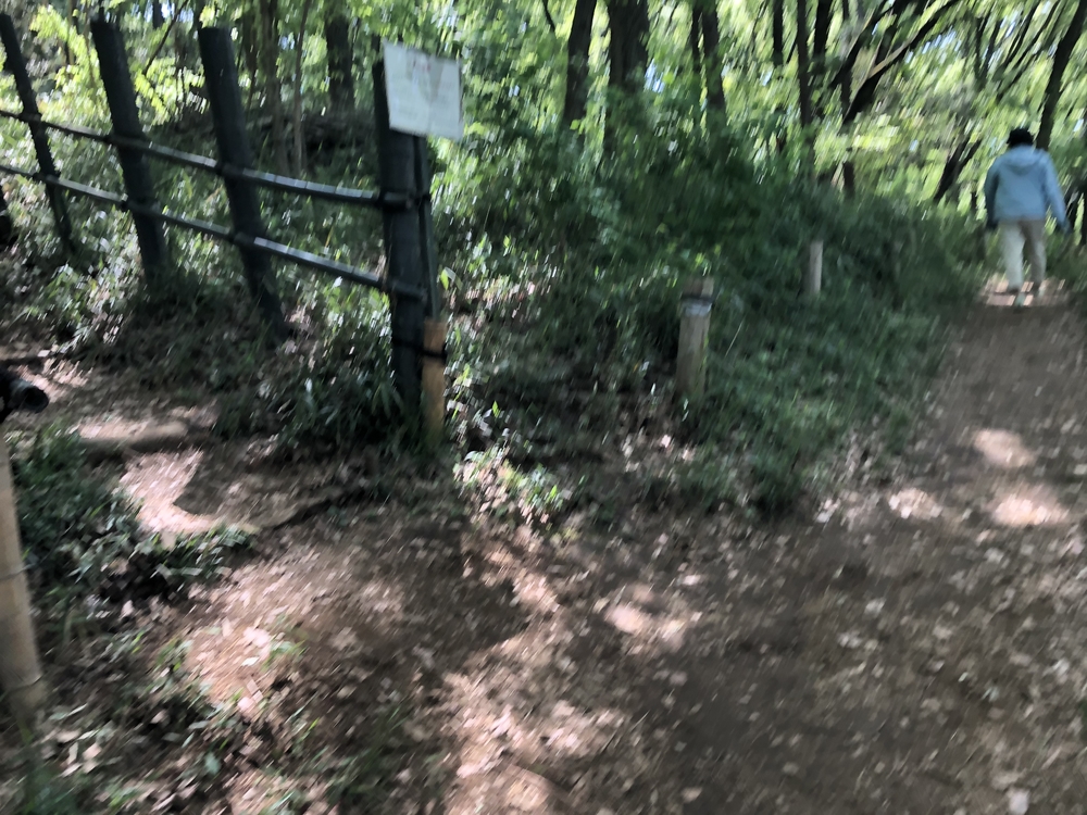 川崎の隠れた里山めぐりの写真8