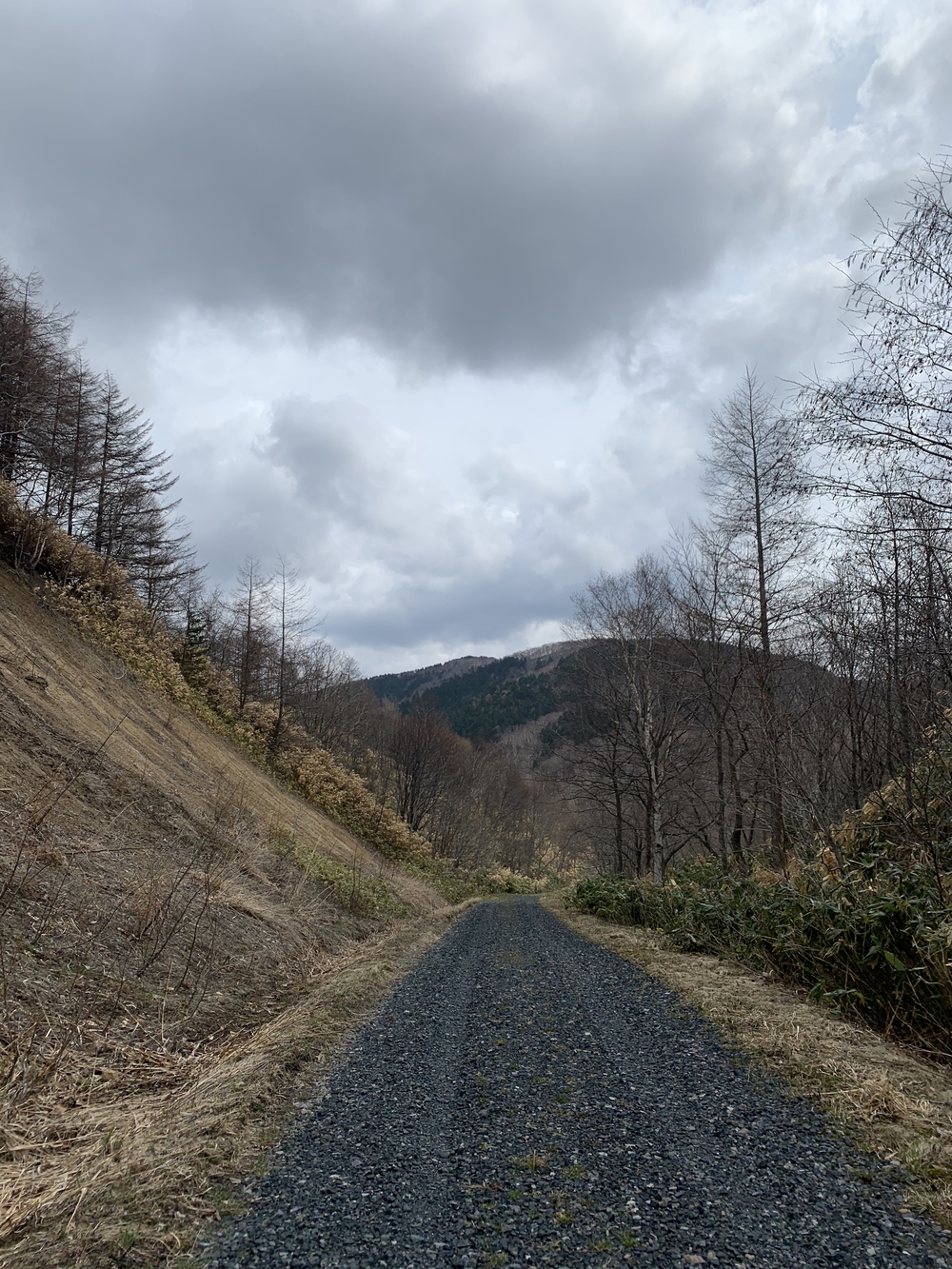 幌延町林道コース16kmの写真3