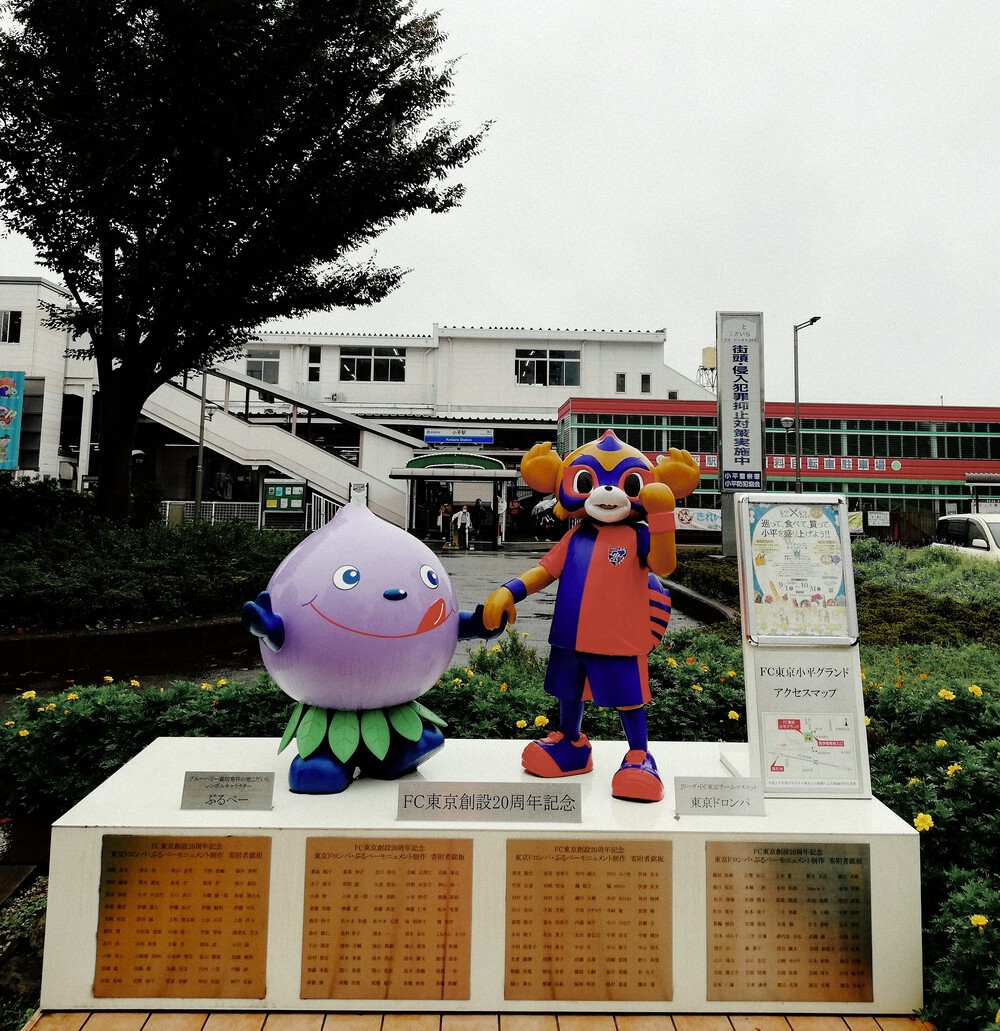 【多摩湖自転車道満喫】萩山駅から吉祥寺20kmくらいの写真3