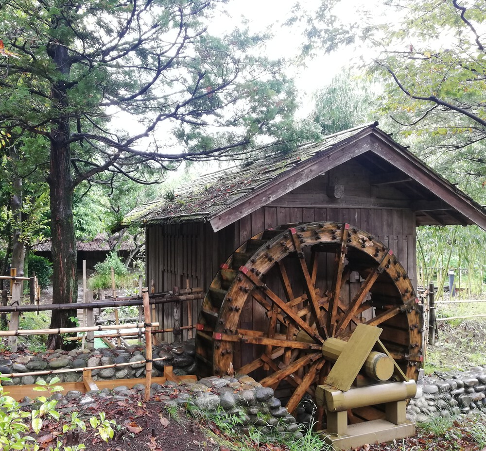 【多摩湖自転車道満喫】萩山駅から吉祥寺20kmくらいの写真5