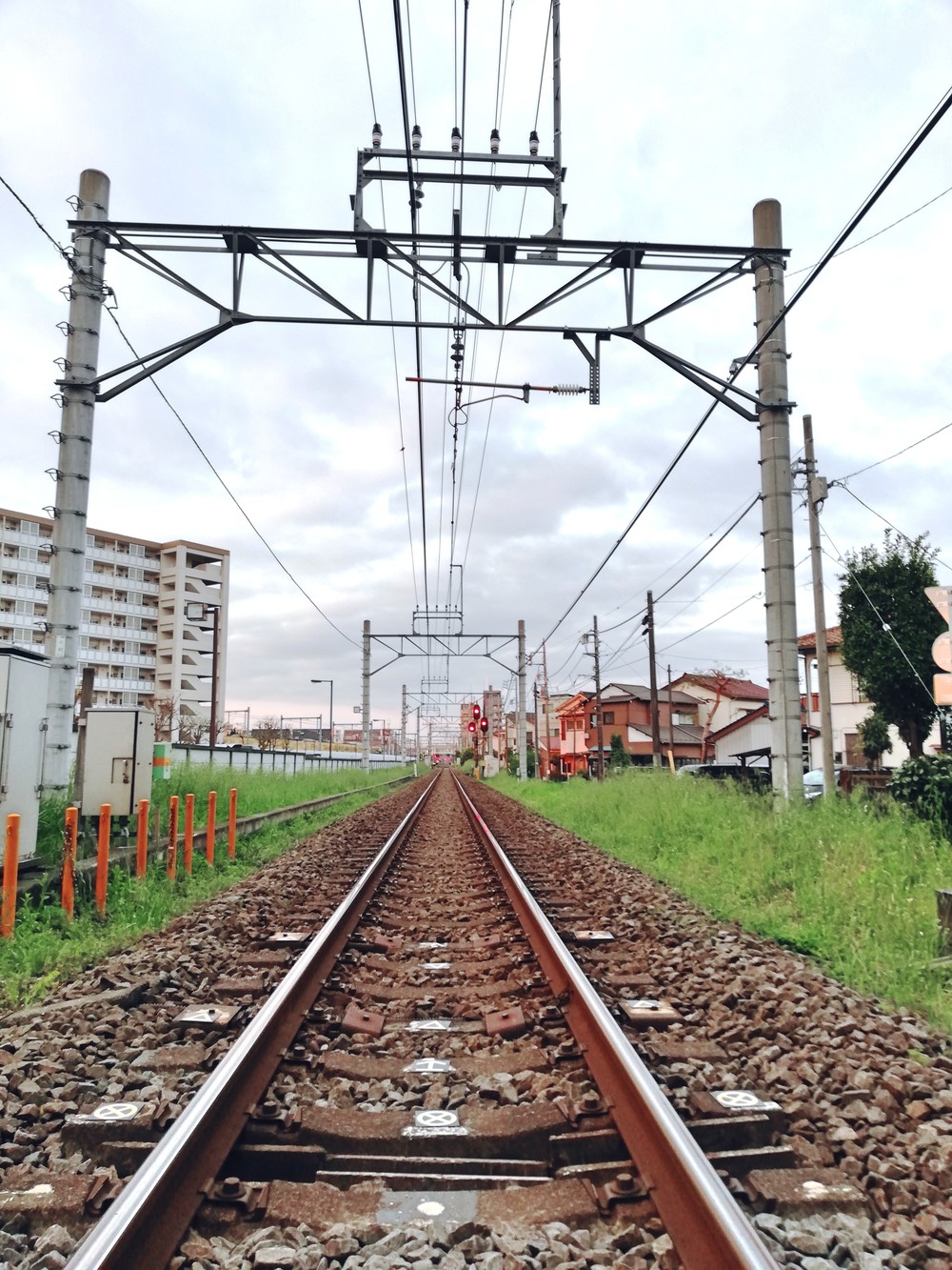 新緑の小平一周グリーンロードの写真3