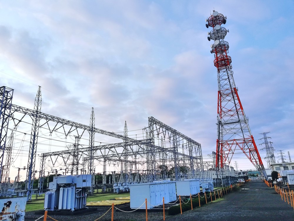 新緑の小平一周グリーンロードの写真5