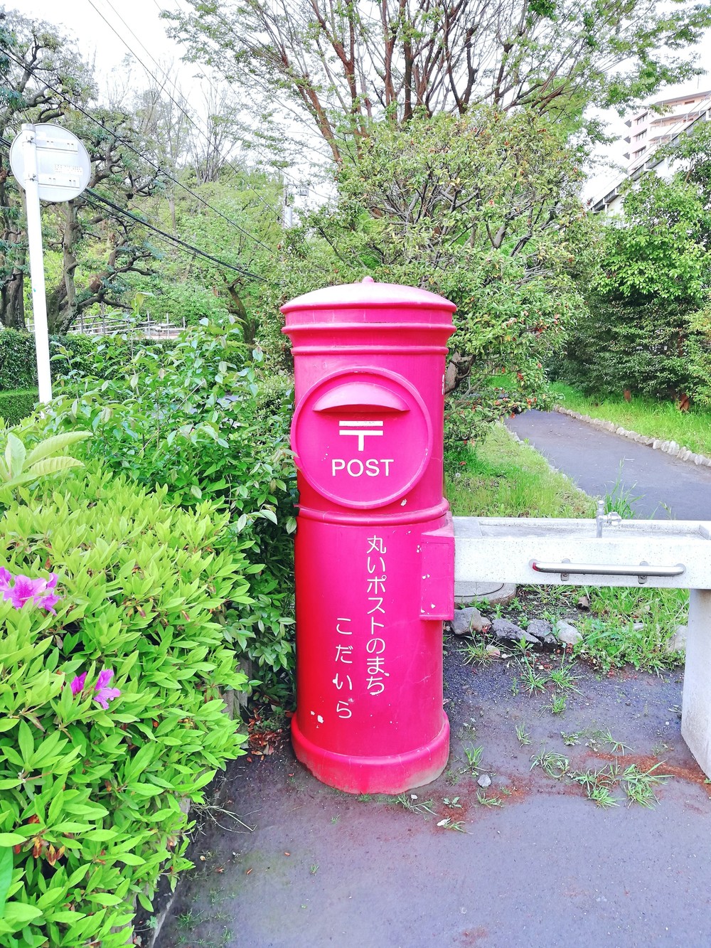 新緑の小平一周グリーンロードの写真6