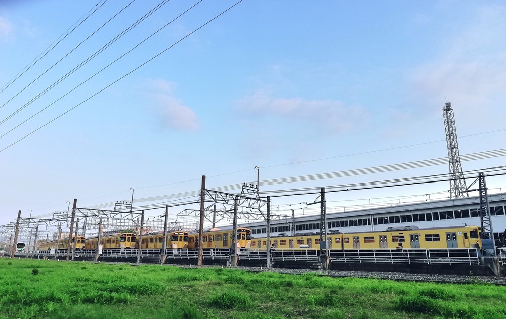 新緑の小平一周グリーンロードの写真7