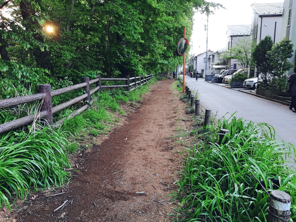 新緑の小平一周グリーンロードの写真9