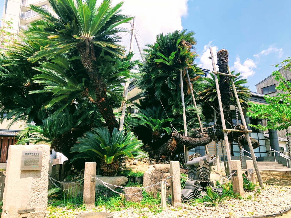 神戸市『なだ百選』旧街道周回コースの写真5