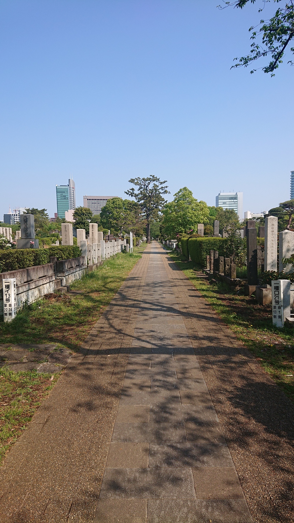六本木～青山～神宮～赤坂～皇居 距離調整が自在なコースの写真3