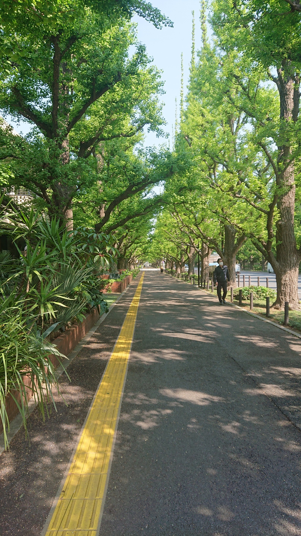 六本木～青山～神宮～赤坂～皇居 距離調整が自在なコースの写真4