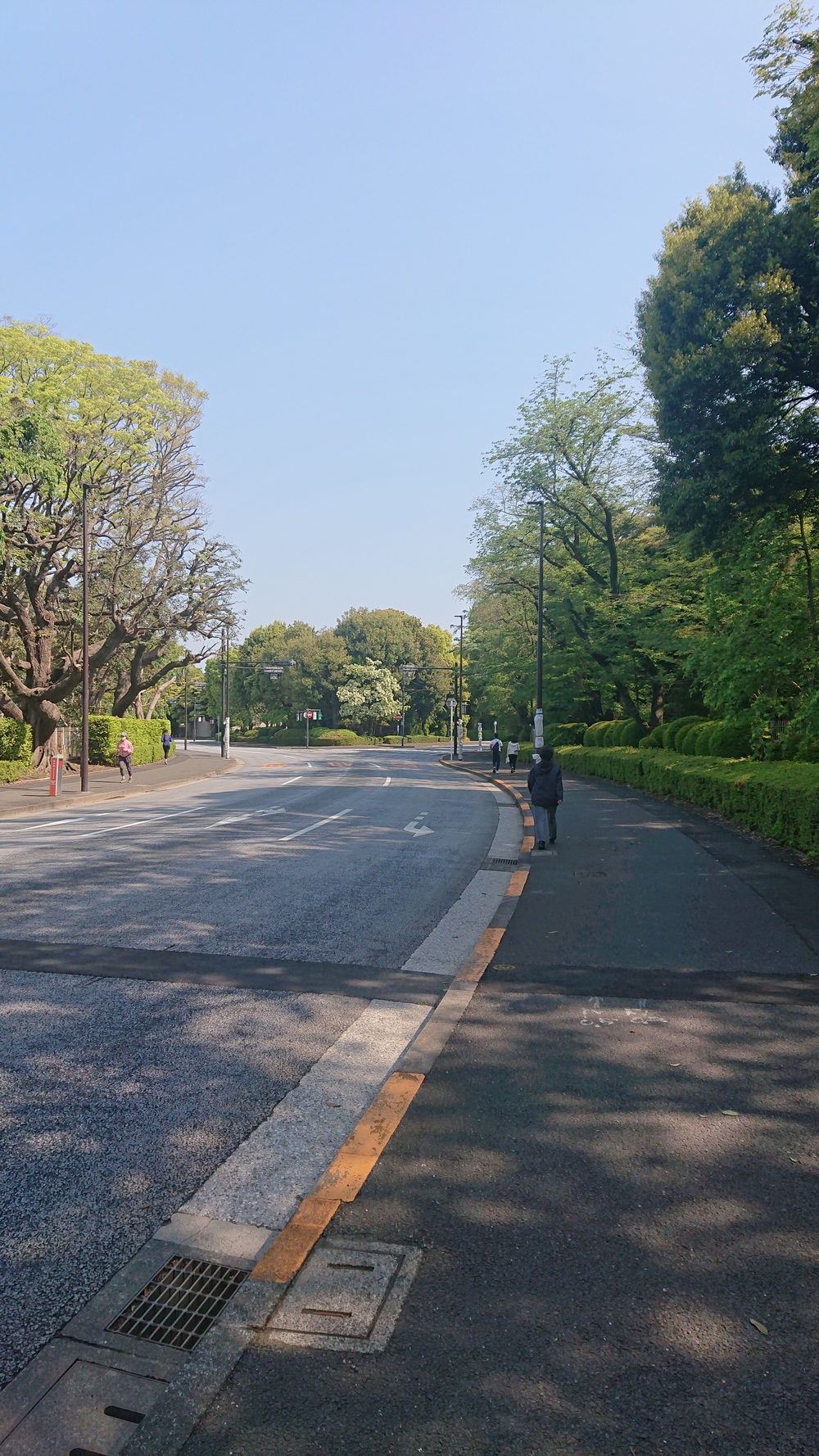 六本木～青山～神宮～赤坂～皇居 距離調整が自在なコースの写真5