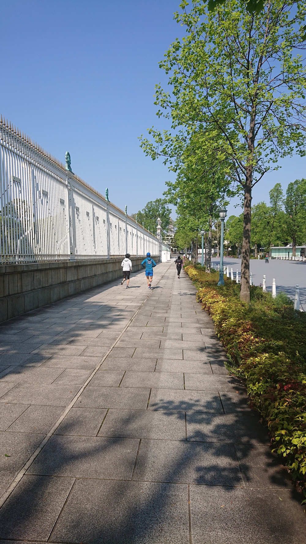 六本木～青山～神宮～赤坂～皇居 距離調整が自在なコースの写真6