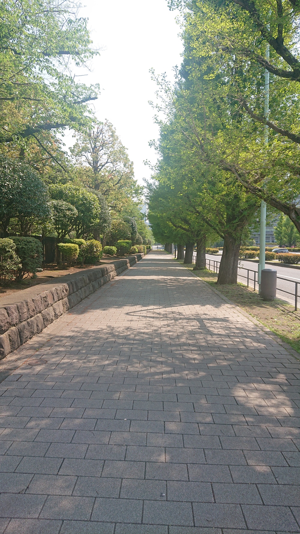 六本木～青山～神宮～赤坂～皇居 距離調整が自在なコースの写真8