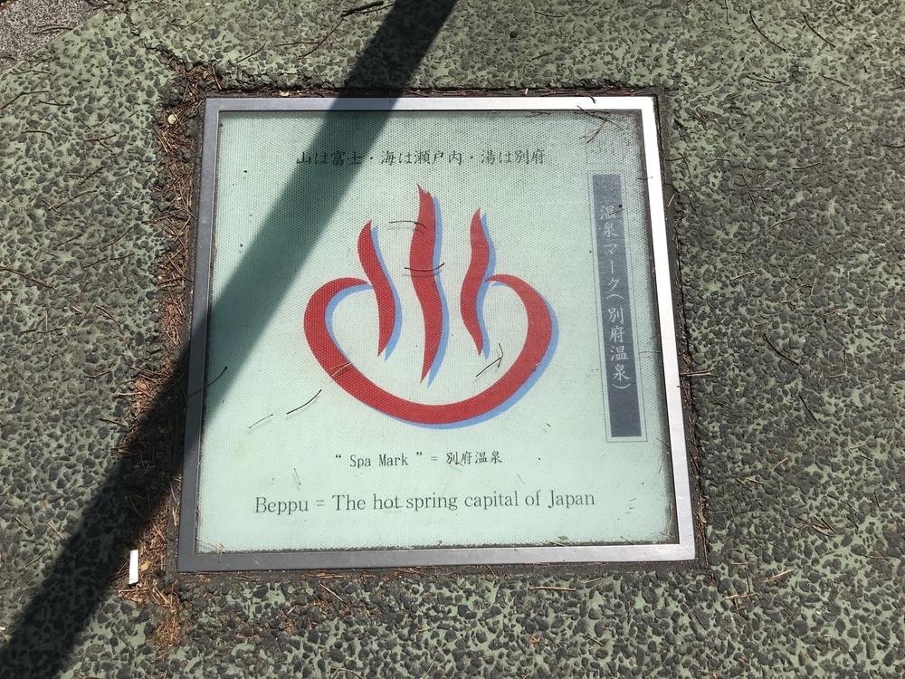 べっぷ鶴見岳一気登山〜前半コース〜の写真12