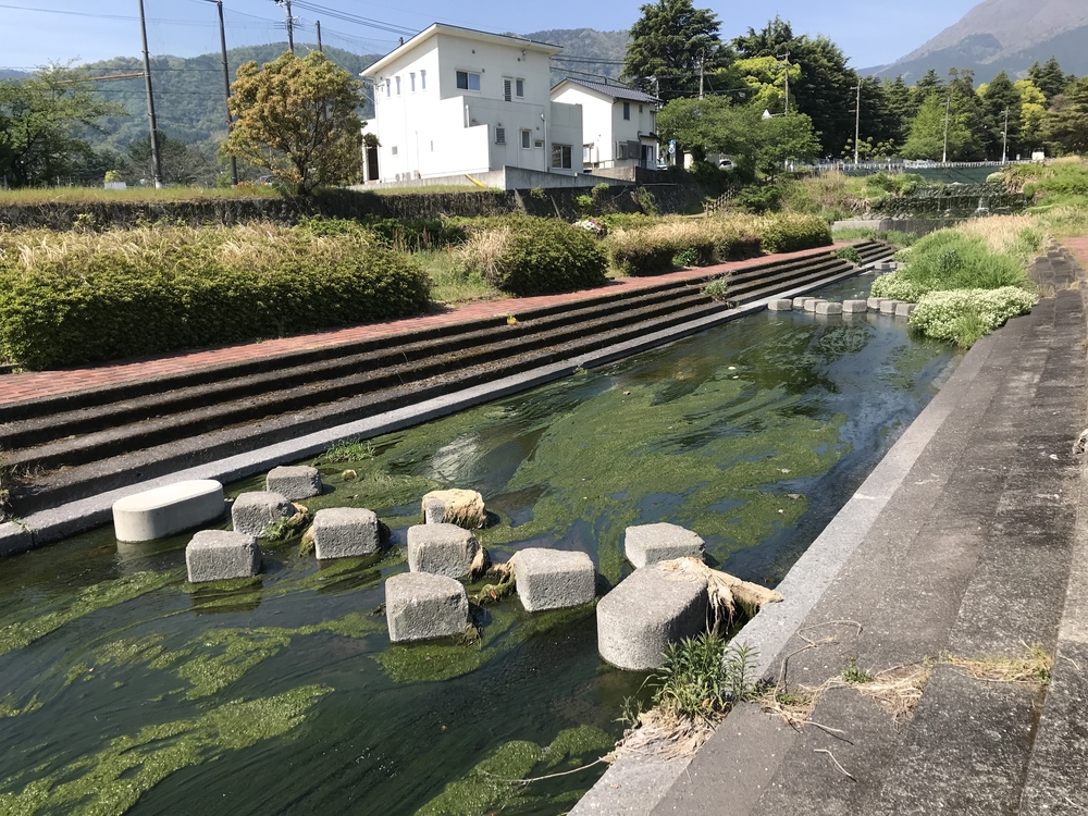べっぷ鶴見岳一気登山〜前半コース〜の写真16