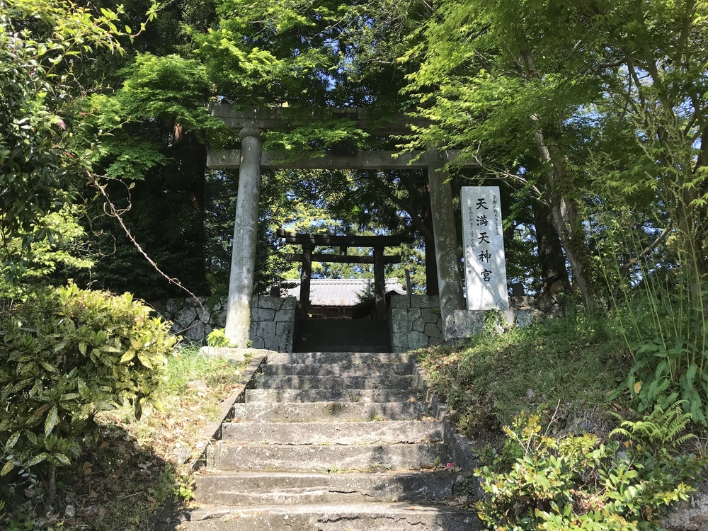 べっぷ鶴見岳一気登山〜前半コース〜の写真19