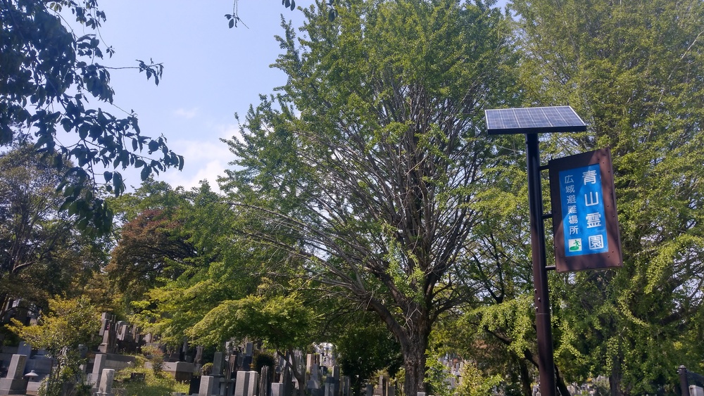 都会のど真ん中巡り（築地～東京タワー～麻布・六本木～青山新宿）の写真9