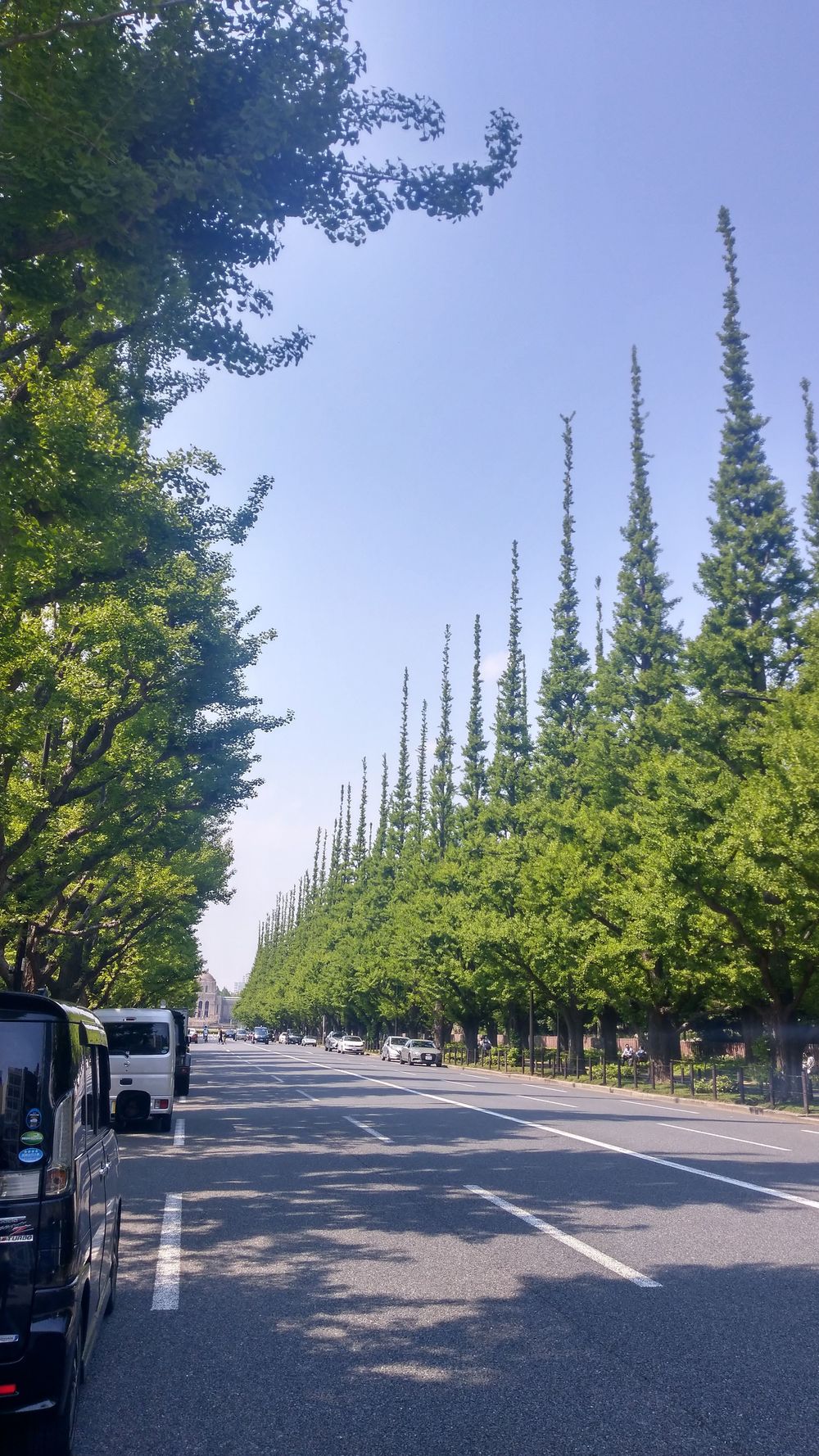 都会のど真ん中巡り（築地～東京タワー～麻布・六本木～青山新宿）の写真10