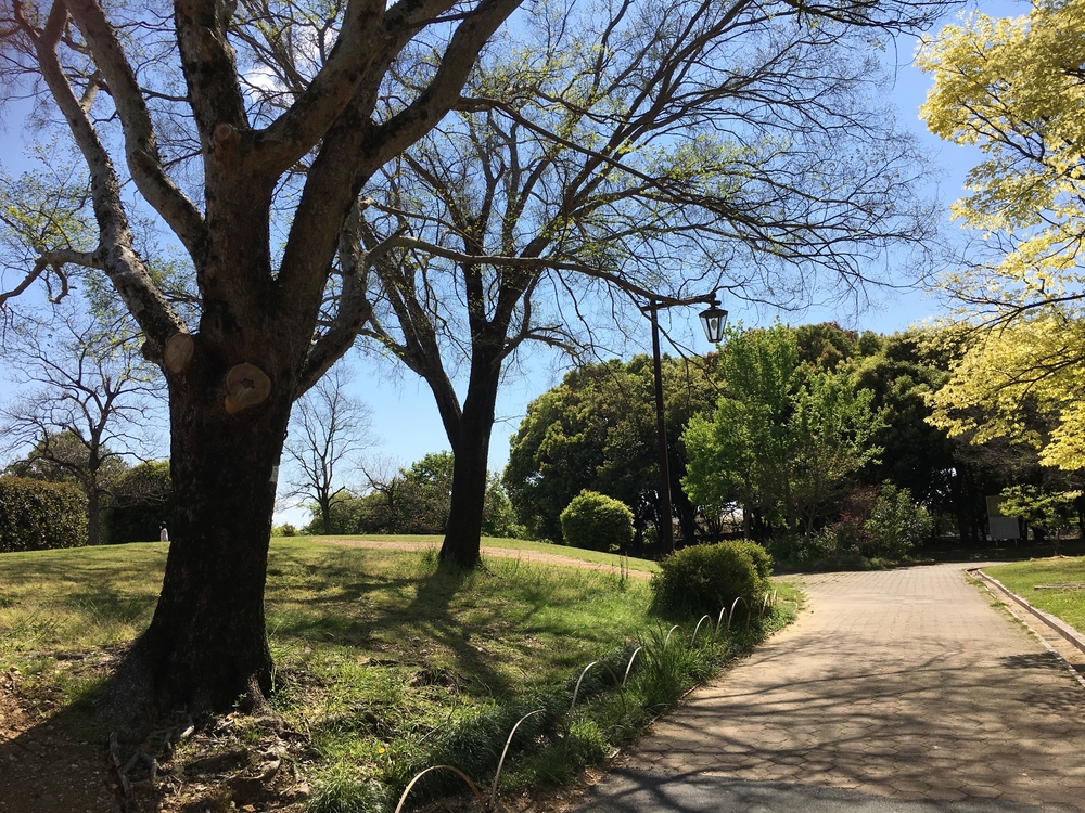 春日井市でランニングを始めるなら朝宮公園一周コースでしょ！の写真3