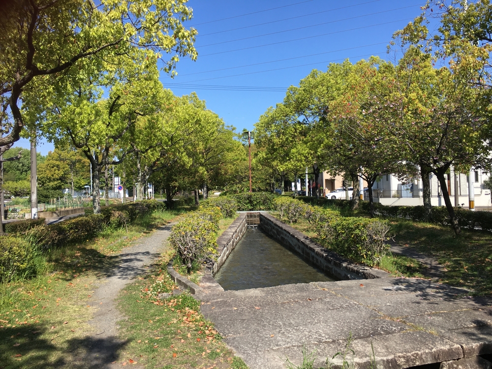 春日井市でランニングを始めるなら朝宮公園一周コースでしょ！の写真5