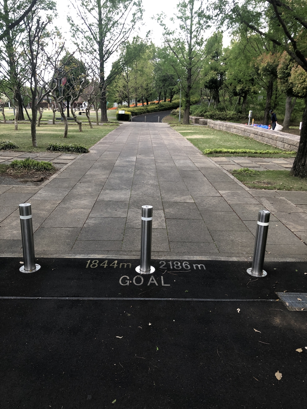 埼玉スタジアム2002公園 周回コースの写真3