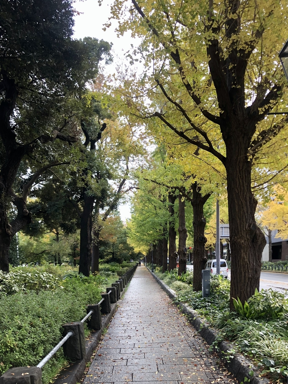 横浜ベイサイドランの写真4