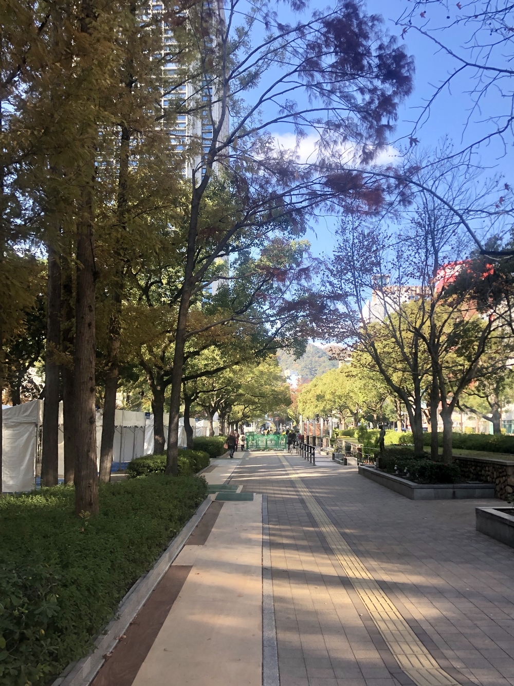 神戸ベイエリアランの写真9