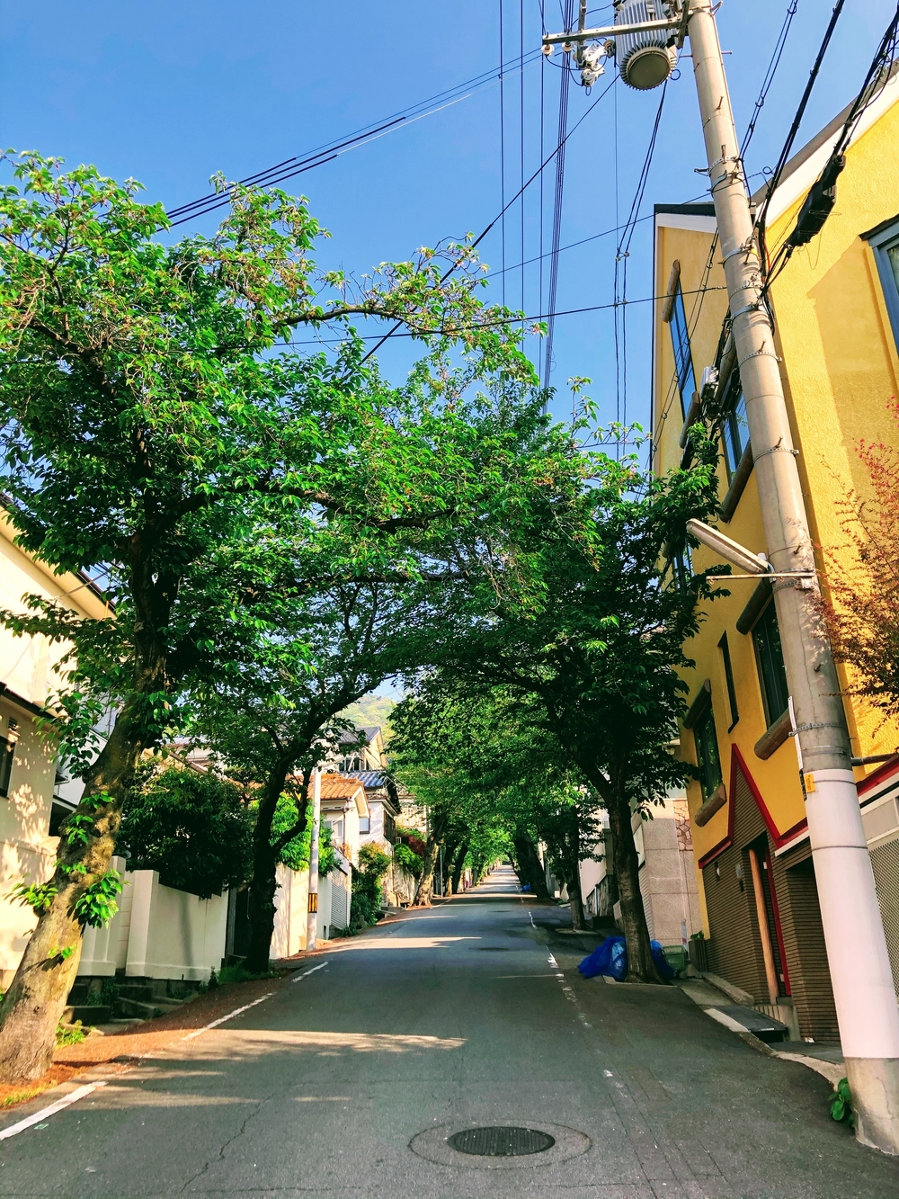 神戸市灘区『なだ百選』坂コースの写真5